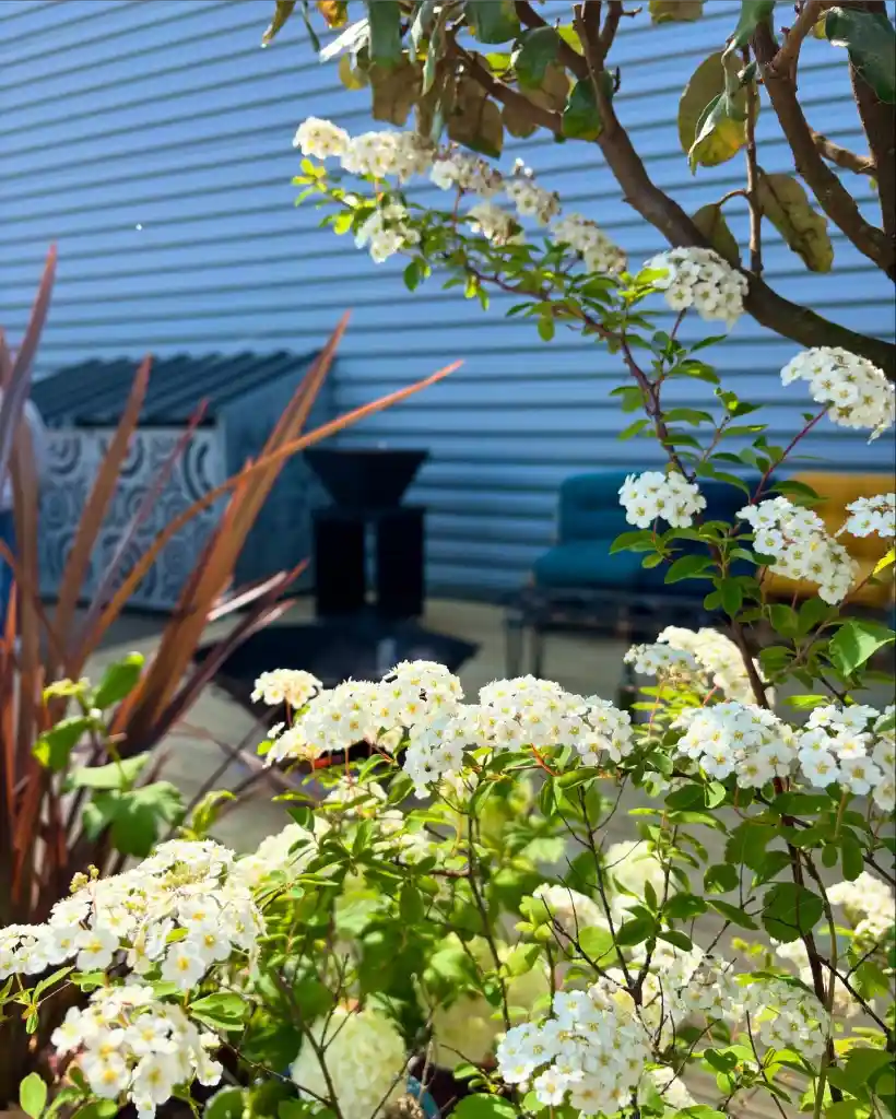 Cvb Design Paysagiste Ecommoy CVB DESIGN 02