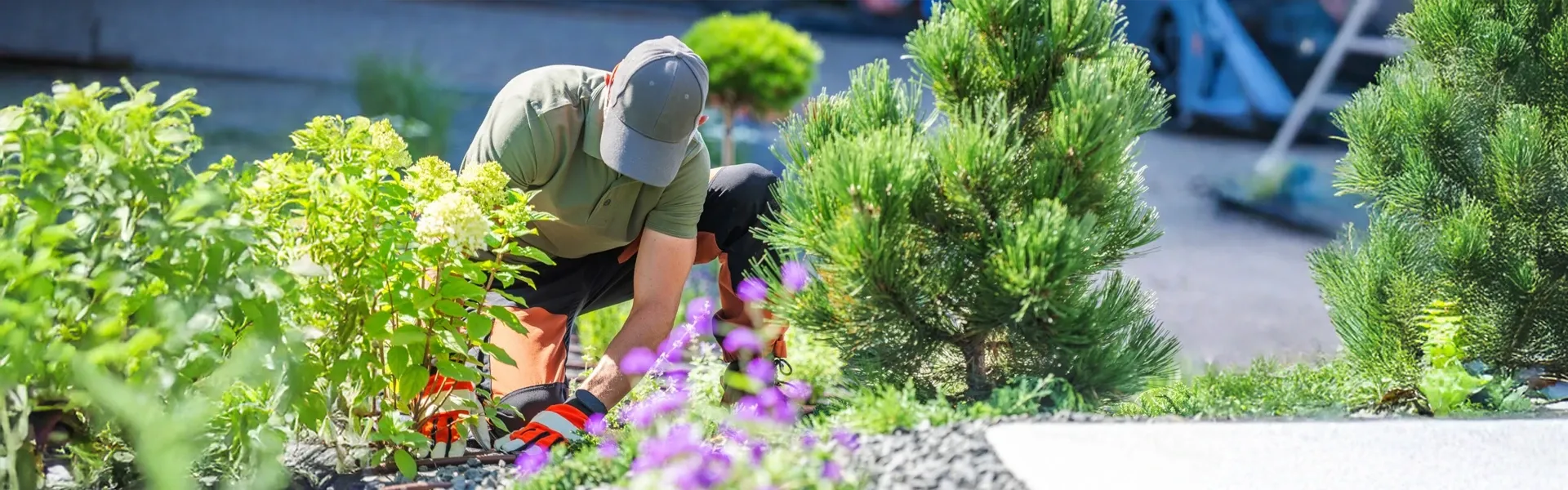 Paysagiste à Mayet : CVB Design